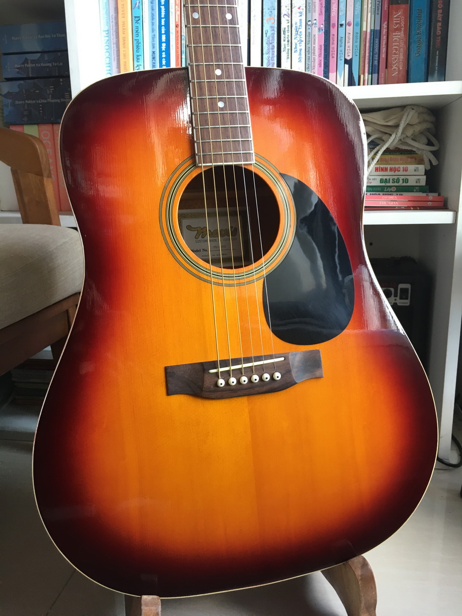 Mavis MW-100 Acoustic Guitar