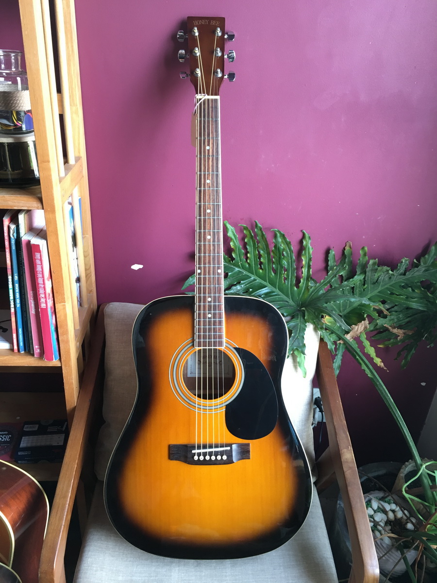 Honey Bee W-15TS Acoustic Guitar